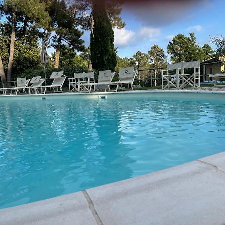 Tuscany Relax H&H - Helly House Lägenhet San Vivaldo Exteriör bild